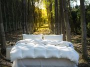 Duvet Comforter - Image 18