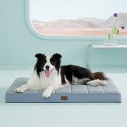 Cooling Dog Bed