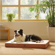 Plush Dog Bed - Image 5
